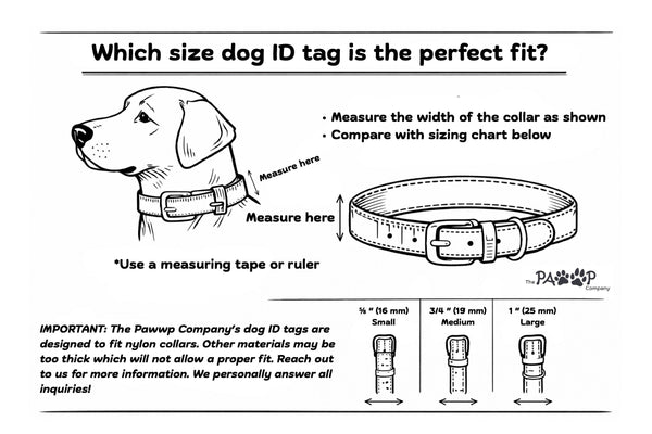 Which Size Dog ID Tag Is The Perfect Fit?