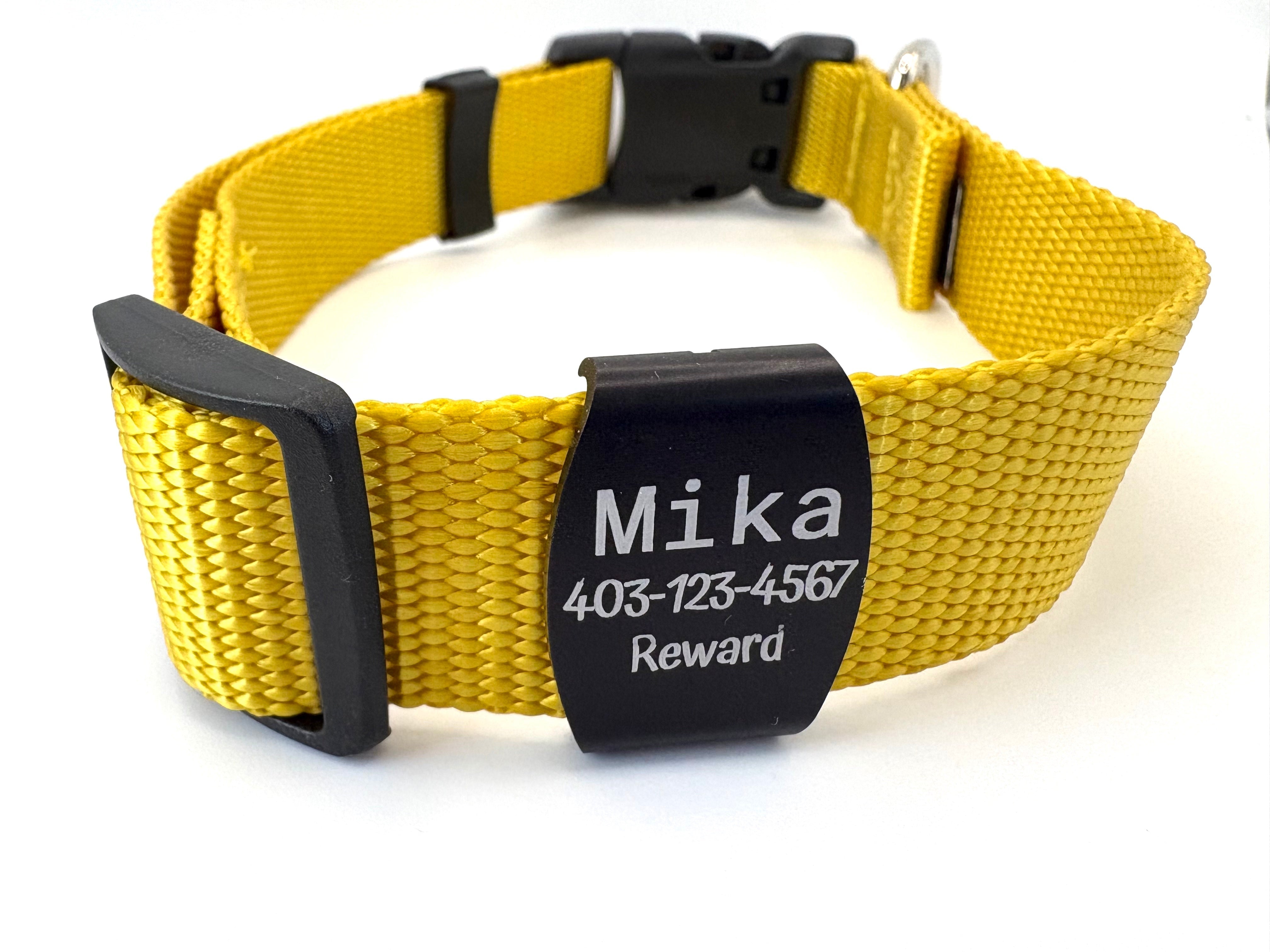 You've Asked So We've Answered! All About Our Pet ID Tags!