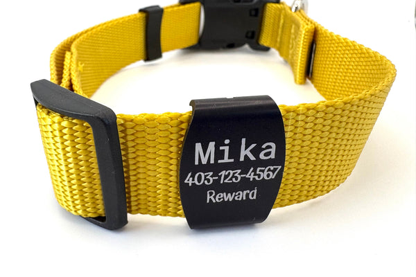 You've Asked So We've Answered! All About Our Pet ID Tags!