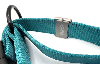 'Trouble Maker' Silent Pet Tag