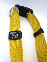 Silent Pet Tag 'Accepts Belly Rubs'