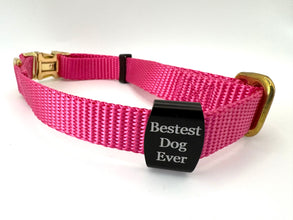 Pink collar with clip on dog tag