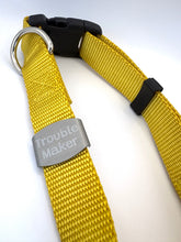 'Trouble Maker' Silent Pet Tag